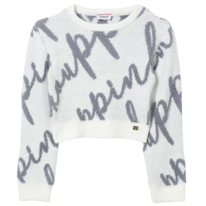 trui grijs/roomwit signature